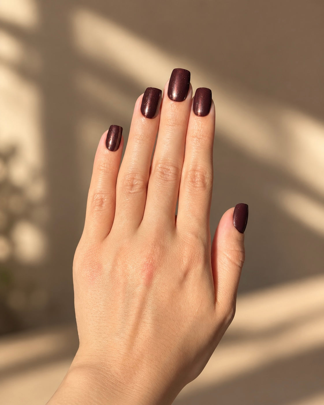 Chocolate Truffle Clawture press on nails: hand with short glossy chocolate brown nails on a sunlit beige background with dried flowers.