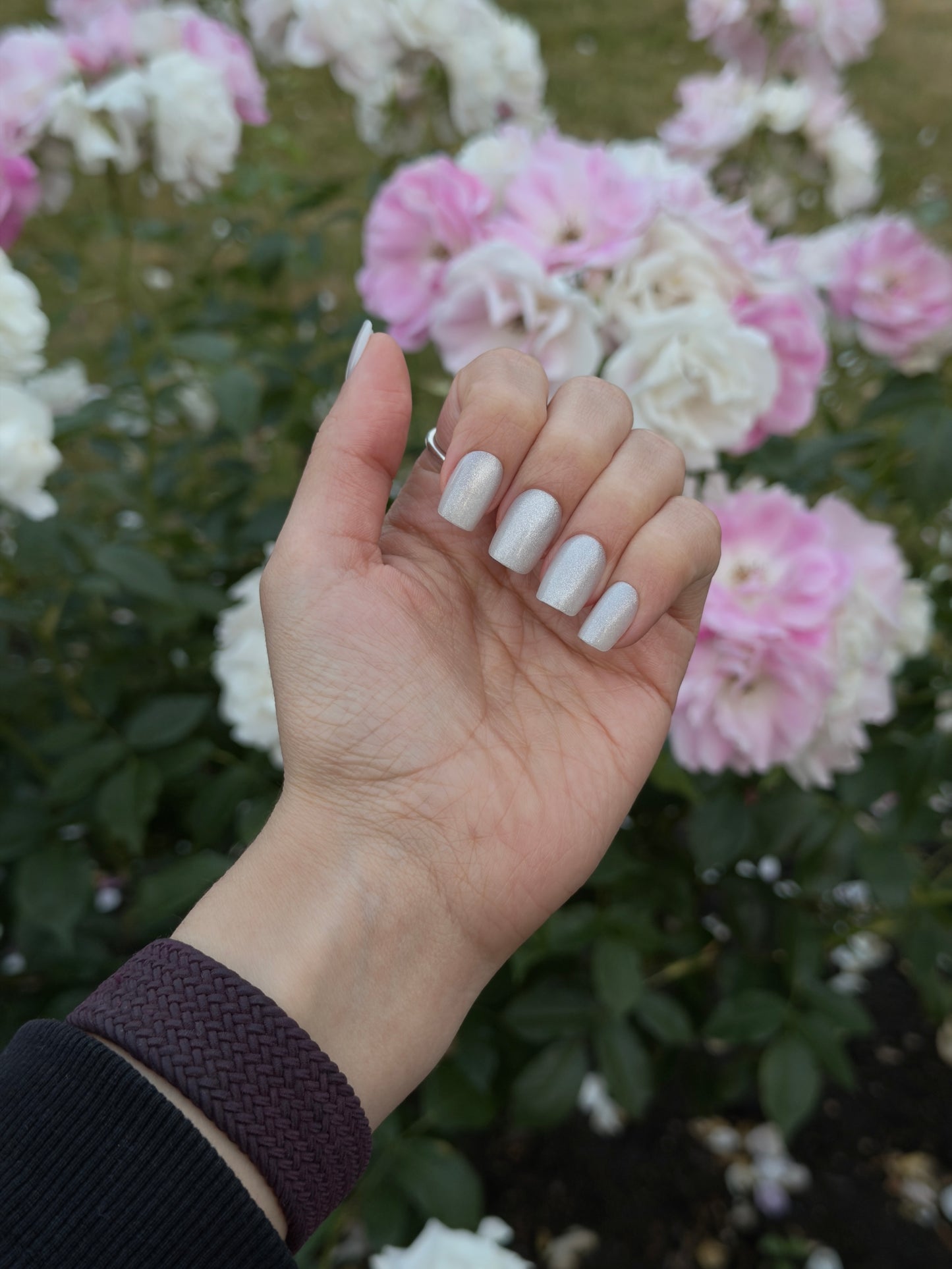 Hand with clawture angel aura silver cat eye false press on nails against a background of pink and white flowers